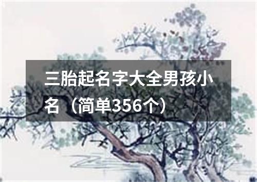 三胎起名字大全男孩小名（简单356个）