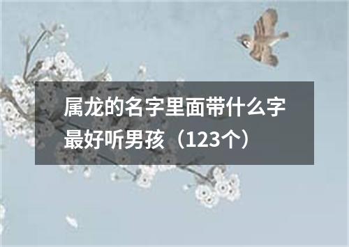 属龙的名字里面带什么字最好听男孩（123个）