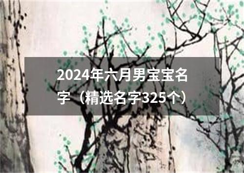 2024年六月男宝宝名字（精选名字325个）