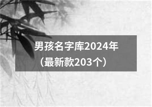 男孩名字库2024年（最新款203个）