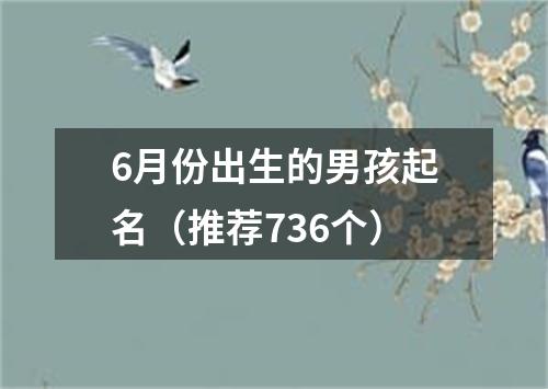 6月份出生的男孩起名（推荐736个）