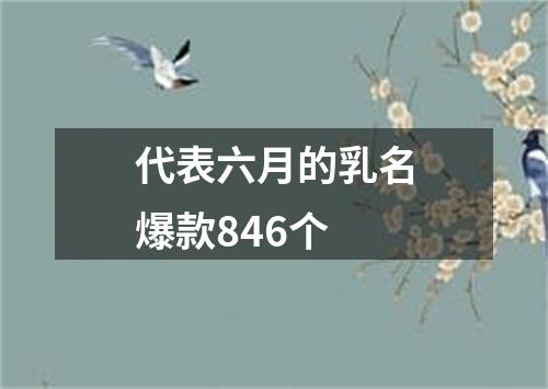 代表六月的乳名爆款846个