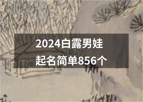 2024白露男娃起名简单856个