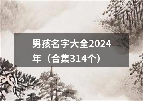 男孩名字大全2024年（合集314个）