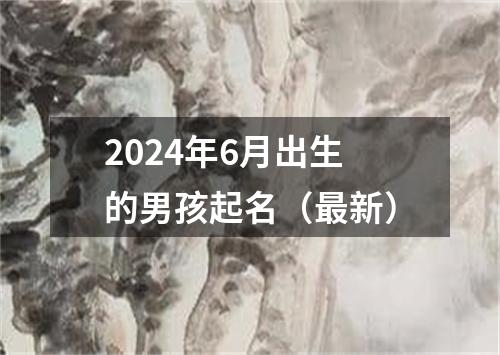 2024年6月出生的男孩起名（最新）