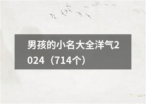 男孩的小名大全洋气2024（714个）