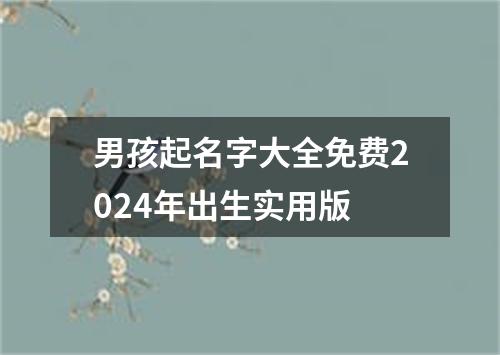 男孩起名字大全免费2024年出生实用版