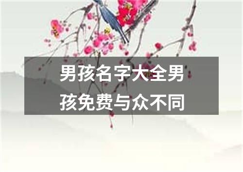 男孩名字大全男孩免费与众不同