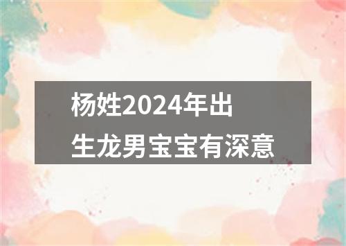 杨姓2024年出生龙男宝宝有深意