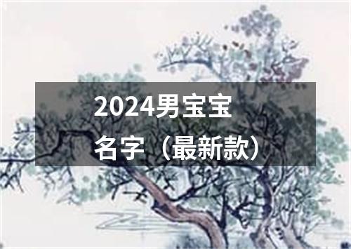 2024男宝宝名字（最新款）