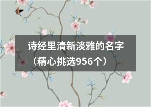 诗经里清新淡雅的名字（精心挑选956个）