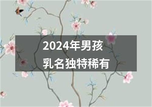 2024年男孩乳名独特稀有