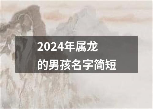 2024年属龙的男孩名字简短