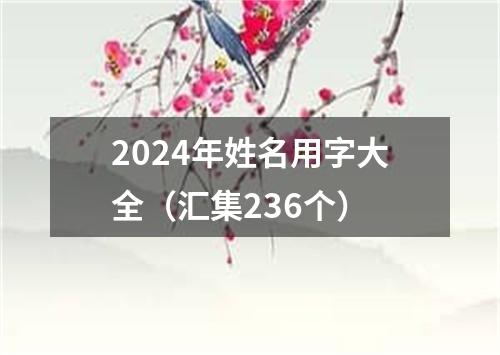 2024年姓名用字大全（汇集236个）