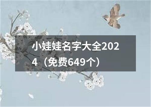 小娃娃名字大全2024（免费649个）