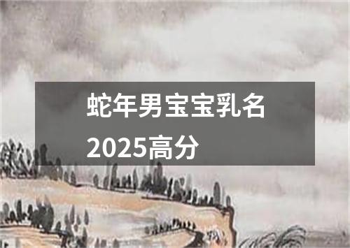 蛇年男宝宝乳名2025高分