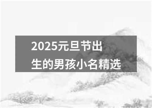 2025元旦节出生的男孩小名精选