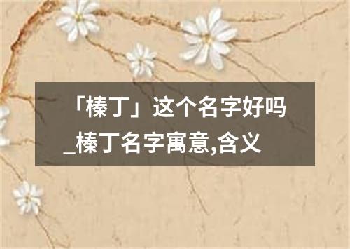 「榛丁」这个名字好吗_榛丁名字寓意,含义