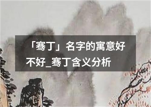 「骞丁」名字的寓意好不好_骞丁含义分析