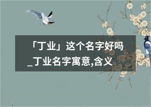 「丁业」这个名字好吗_丁业名字寓意,含义