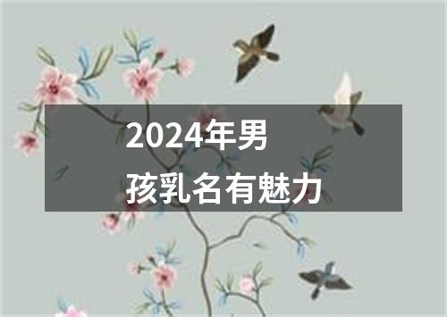 2024年男孩乳名有魅力