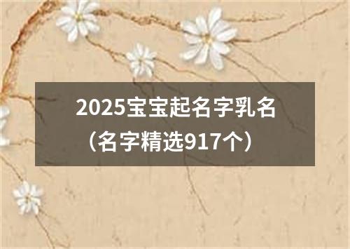 2025宝宝起名字乳名（名字精选917个）