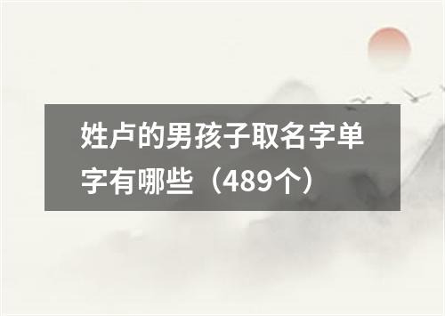 姓卢的男孩子取名字单字有哪些（489个）