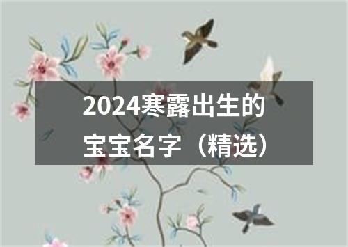 2024寒露出生的宝宝名字（精选）