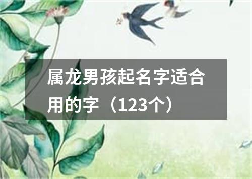 属龙男孩起名字适合用的字（123个）