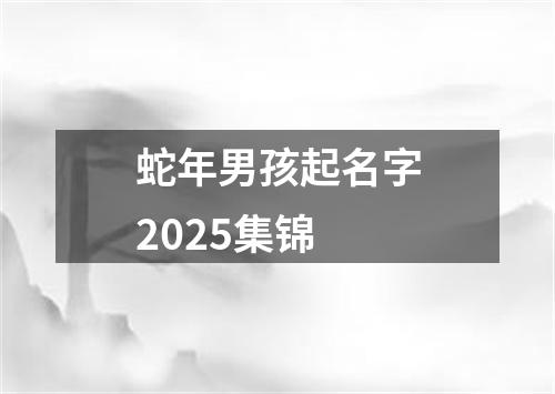 蛇年男孩起名字2025集锦