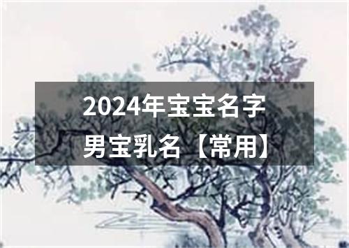 2024年宝宝名字男宝乳名【常用】