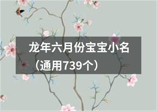 龙年六月份宝宝小名（通用739个）