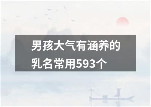 男孩大气有涵养的乳名常用593个