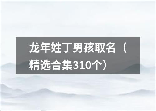 龙年姓丁男孩取名（精选合集310个）