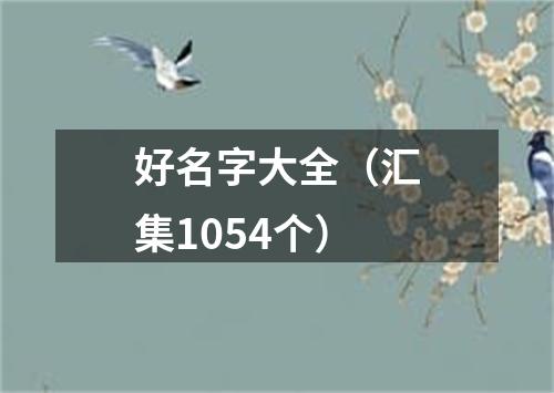 好名字大全（汇集1054个）