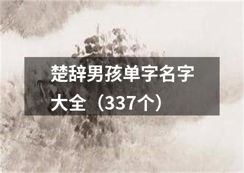 楚辞男孩单字名字大全（337个）