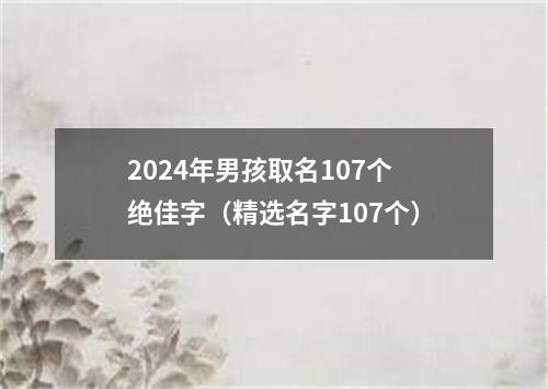 2024年男孩取名107个绝佳字（精选名字107个）