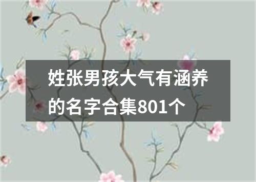 姓张男孩大气有涵养的名字合集801个