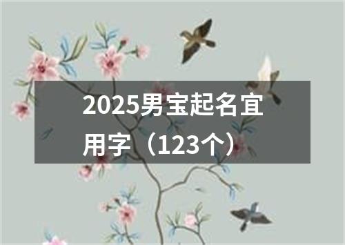 2025男宝起名宜用字（123个）