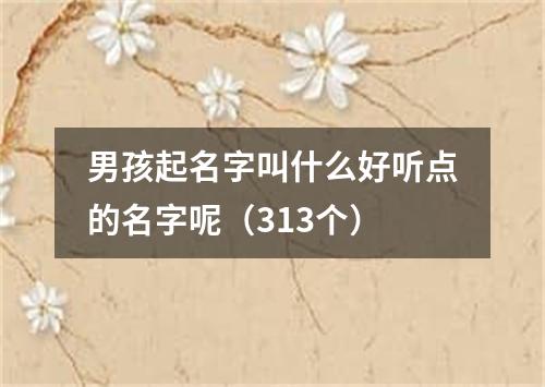 男孩起名字叫什么好听点的名字呢（313个）