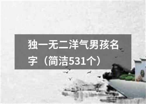 独一无二洋气男孩名字（简洁531个）