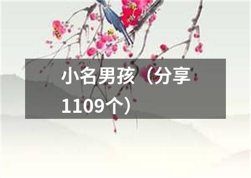 小名男孩（分享1109个）