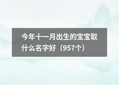 今年十一月出生的宝宝取什么名字好（957个）