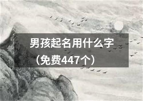 男孩起名用什么字（免费447个）