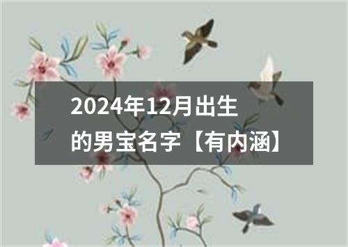 2024年12月出生的男宝名字【有内涵】