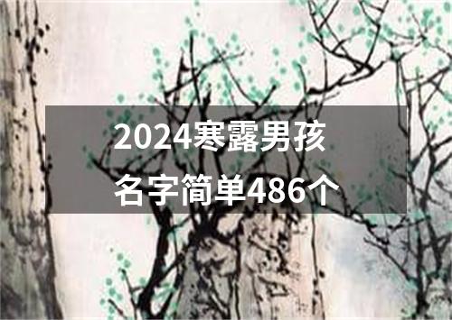 2024寒露男孩名字简单486个