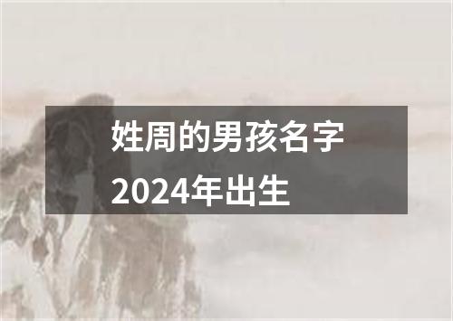 姓周的男孩名字2024年出生