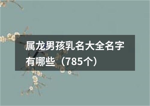 属龙男孩乳名大全名字有哪些（785个）