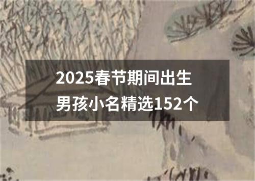 2025春节期间出生男孩小名精选152个