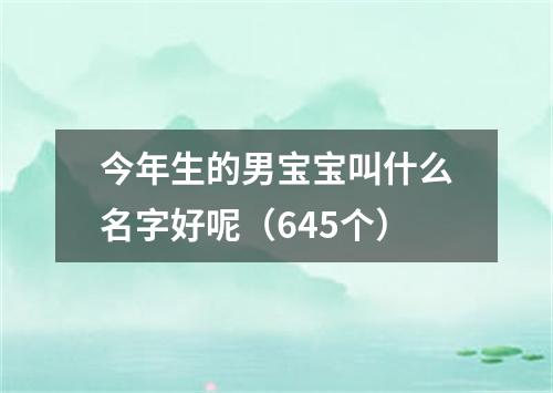 今年生的男宝宝叫什么名字好呢（645个）